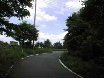 県道八溝線