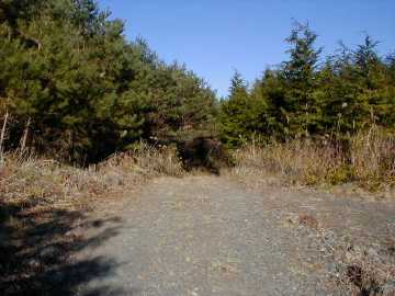 官沢林道・盤木沢林道