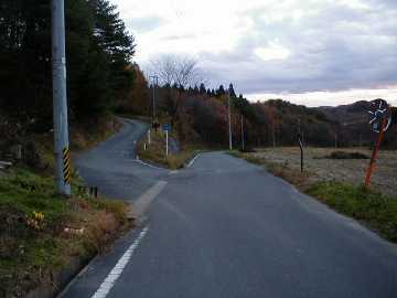 唐露林道