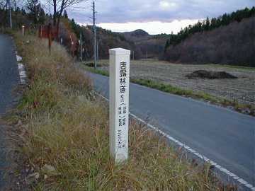 唐露林道