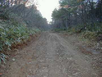 子安川林道