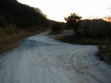 子安川林道