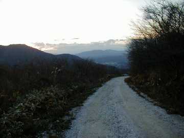 子安川林道