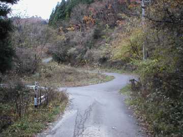 椚合折松林道