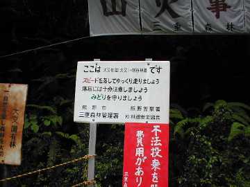 大又佐渡塔谷林道