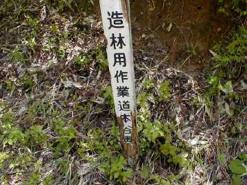 本谷奥林道