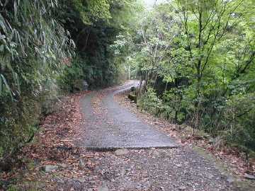 矢ノ川峠線