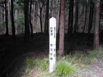 奥田谷林道