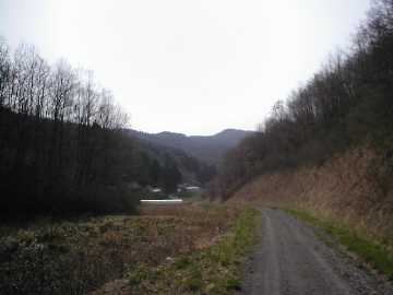 大久田林道