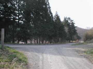 大久田林道