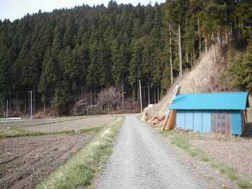 大久田支線林道