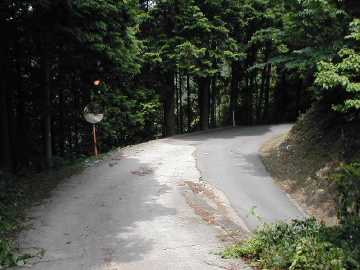 三瀬川清水林道