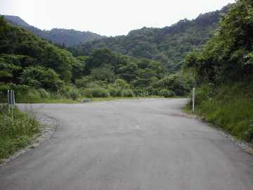 千町林道・千町段ヶ峰林道