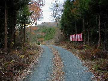 大柴沢林道