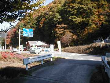 大柴沢林道