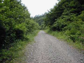瀞川氷ノ山林道