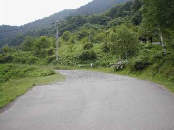 瀞川氷ノ山林道