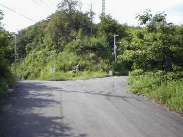 太田谷林道・池原小谷林道