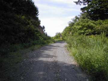 太田谷林道・池原小谷林道