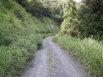 太田谷林道・池原小谷林道