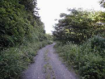 太田谷林道・池原小谷林道
