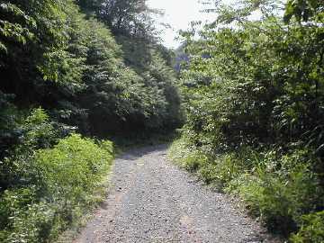太田谷林道・池原小谷林道