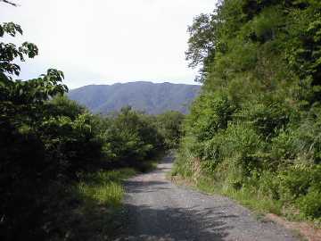 太田谷林道・池原小谷林道