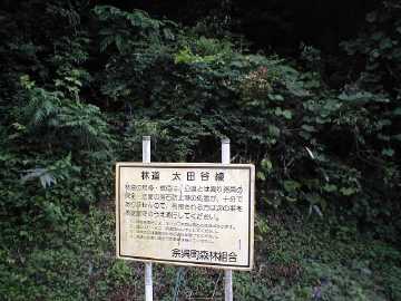 太田谷林道・池原小谷林道