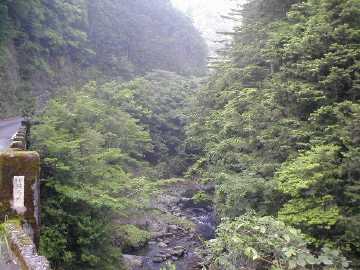 安川大塔川林道