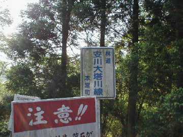 安川大塔川林道
