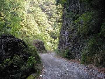 安川大塔川林道