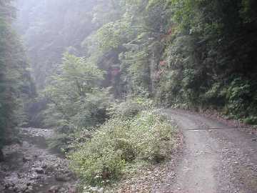 安川大塔川林道