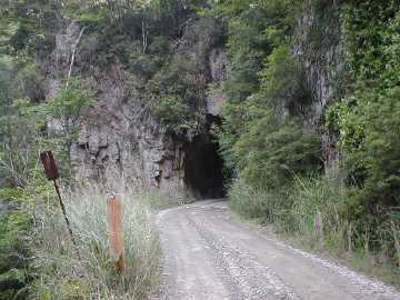 安川大塔川林道