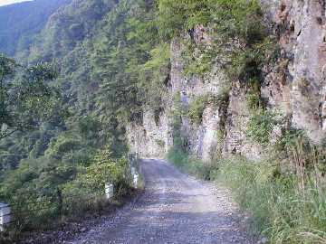 安川大塔川林道