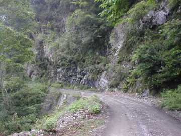 安川大塔川林道