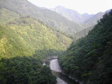 安川大塔川林道
