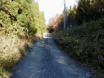 硯石林道