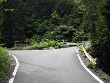 湯川有中林道