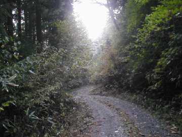 横川仏具林道