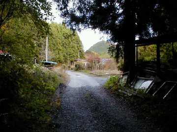 横川目兼林道