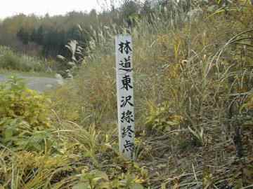 東沢林道