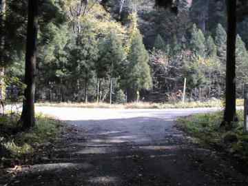 東沢林道