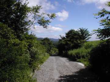 日山源田林道