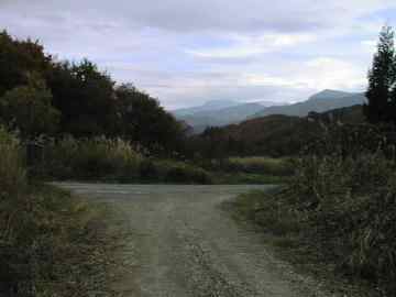 富貴沢林道