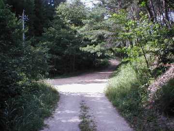 赤井沢林道