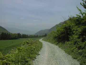 栗原川根利林道