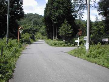 鳩打林道