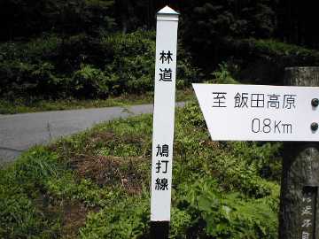 鳩打林道