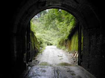 鳩打林道