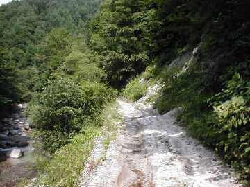 鳩打林道